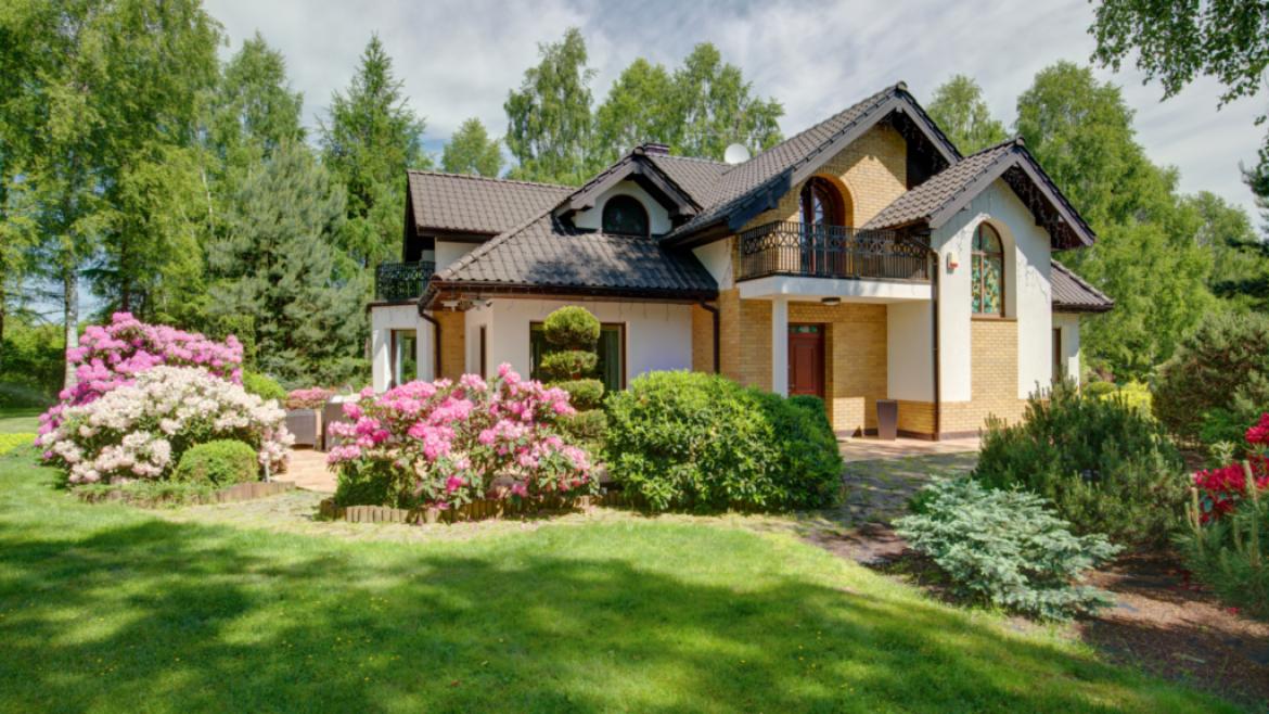 front of house with landscaped yard